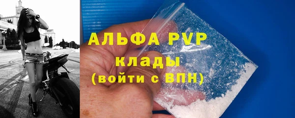 стаф Каменногорск