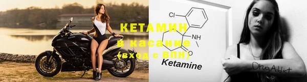стаф Каменногорск