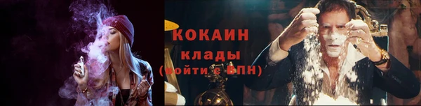 стаф Каменногорск
