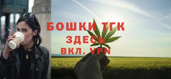 стаф Каменногорск