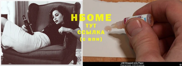 стаф Каменногорск