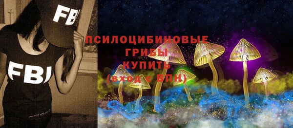 стаф Каменногорск