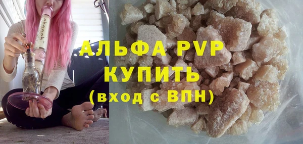 стаф Каменногорск
