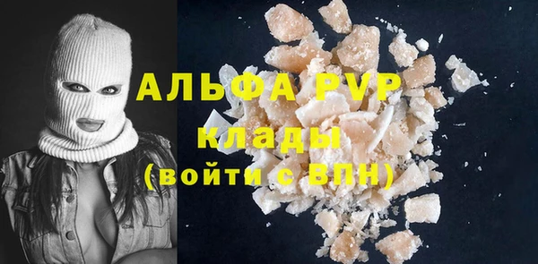 стаф Каменногорск