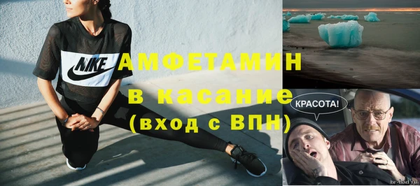 стаф Каменногорск