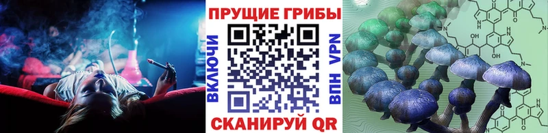Галлюциногенные грибы мицелий  мега ТОР  Называевск 
